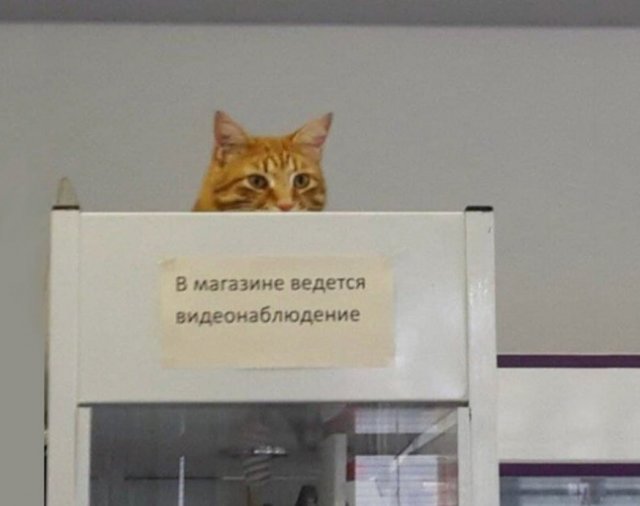 Смешные мемы - 05.01.2025