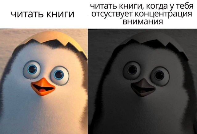 Смешные мемы - 05.01.2025