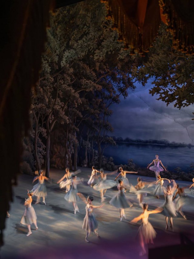 Не только "Щелкунчик": в Михайловском театре можно посмотреть и "Лебединое озеро"