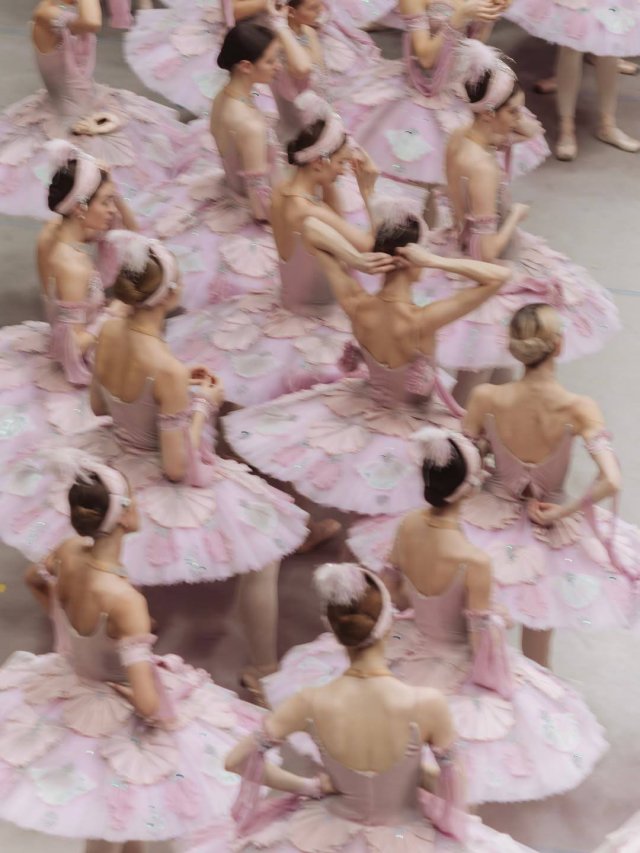 Не только "Щелкунчик": в Михайловском театре можно посмотреть и "Лебединое озеро"