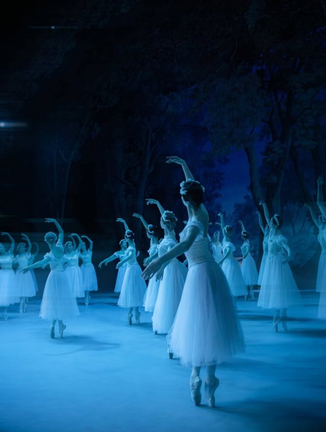 Не только "Щелкунчик": в Михайловском театре можно посмотреть и "Лебединое озеро"