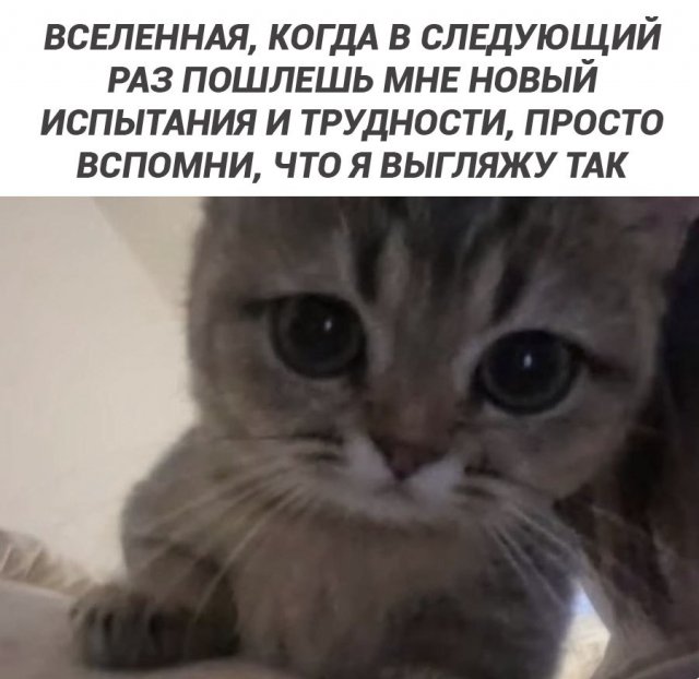 Лучшие шутки и мемы из Сети - 05.01.2025