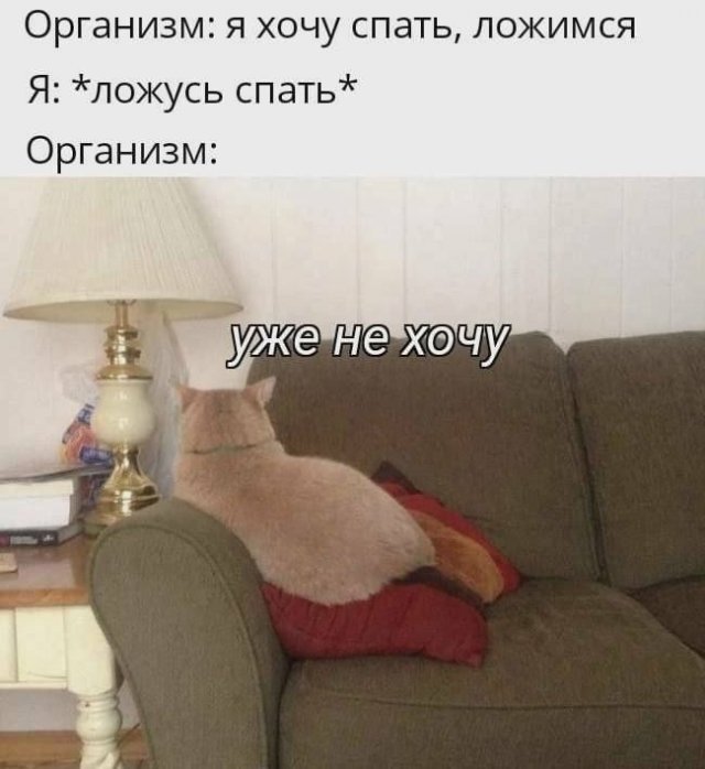 Лучшие шутки и мемы из Сети - 05.01.2025