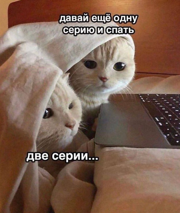 Лучшие шутки и мемы из Сети - 05.01.2025