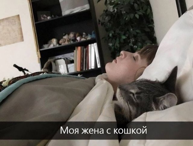 Лучшие шутки и мемы из Сети - 05.01.2025