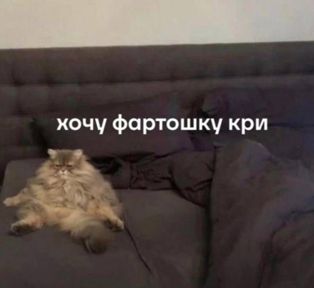 Лучшие шутки и мемы из Сети - 05.01.2025