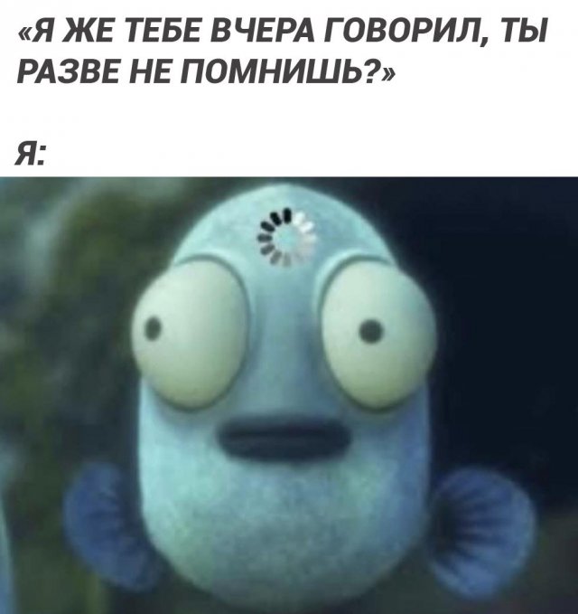 Лучшие шутки и мемы из Сети - 05.01.2025