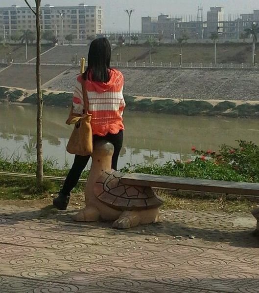 Подборка картинок. Вечерний выпуск - 05.01.2025