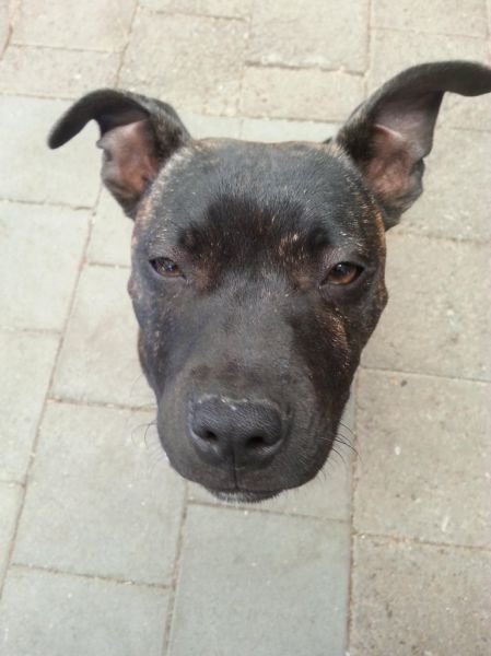 Подборка картинок. Вечерний выпуск - 05.01.2025