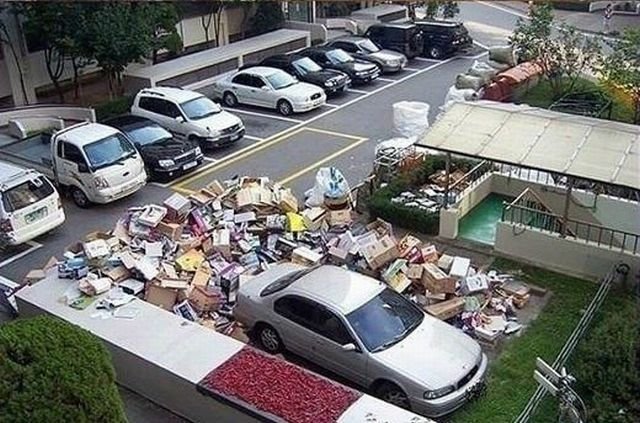 Подборка картинок. Вечерний выпуск - 05.01.2025