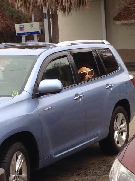 Подборка картинок. Вечерний выпуск - 05.01.2025