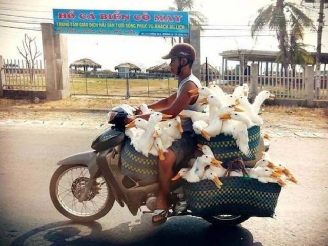 Подборка картинок. Вечерний выпуск - 05.01.2025