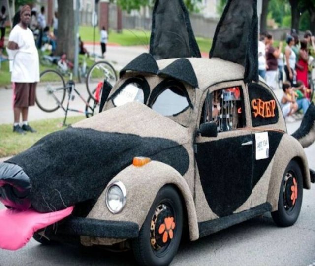 Подборка картинок. Вечерний выпуск - 05.01.2025