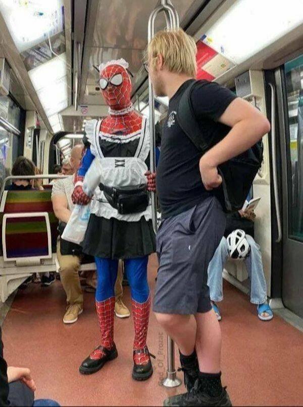 Подборка картинок. Вечерний выпуск - 05.01.2025