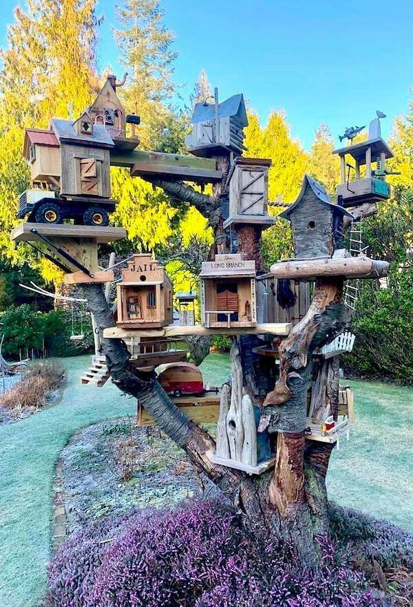 Подборка картинок. Вечерний выпуск - 05.01.2025