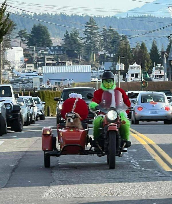 Подборка картинок. Вечерний выпуск - 05.01.2025