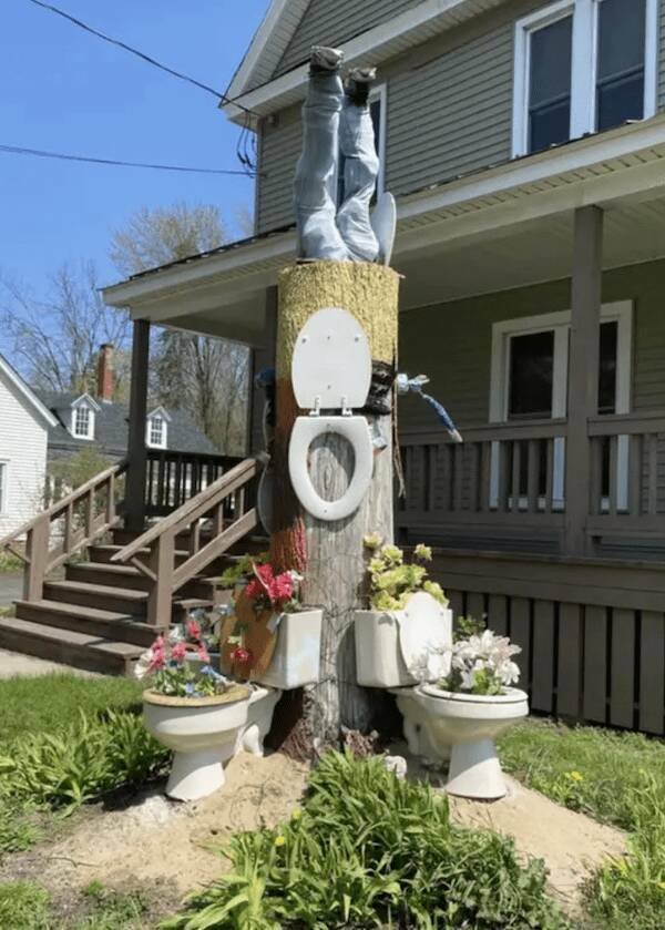 Подборка картинок. Вечерний выпуск - 05.01.2025