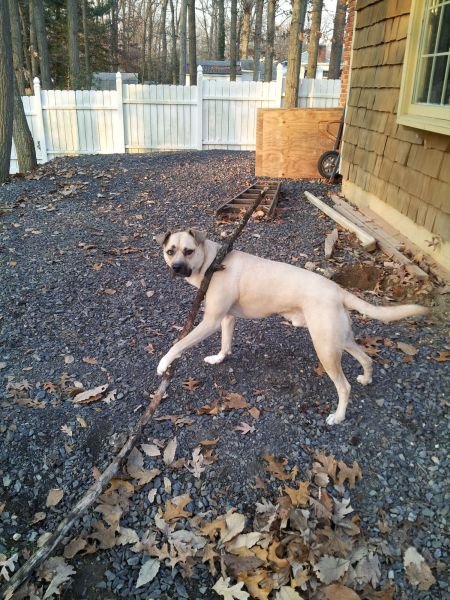 Подборка картинок. Вечерний выпуск - 05.01.2025