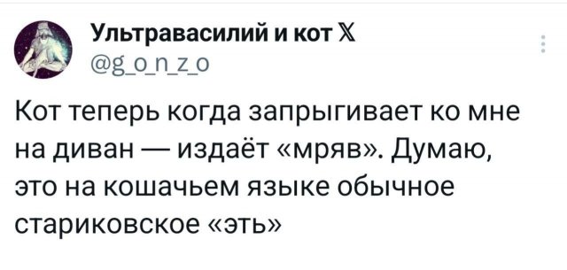 Подборка забавных твитов обо всем