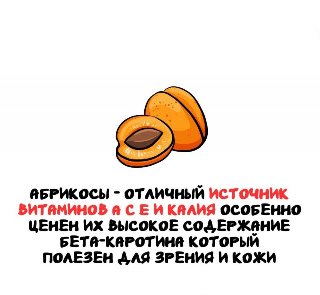 Интересные факты на все случаи жизни