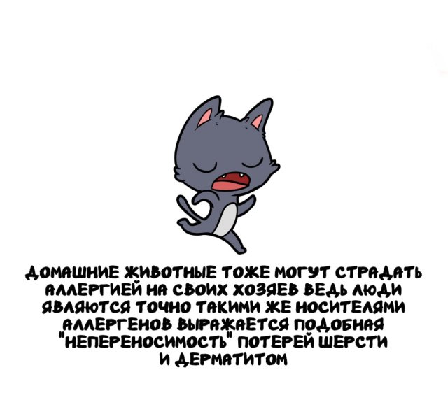 Интересные факты на все случаи жизни