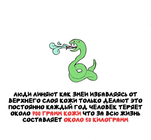 Интересные факты на все случаи жизни