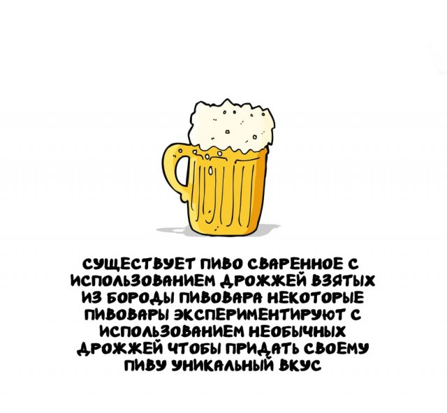 Интересные факты на все случаи жизни