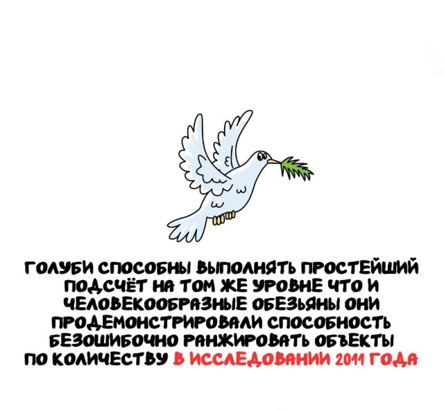 Интересные факты на все случаи жизни