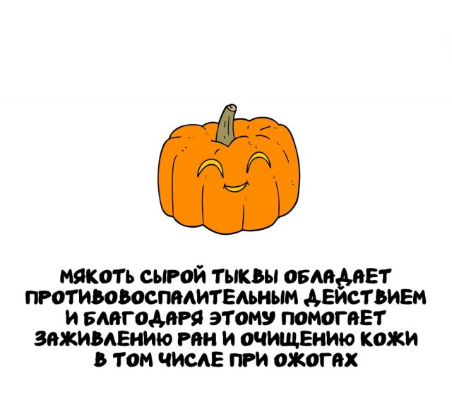 Интересные факты на все случаи жизни