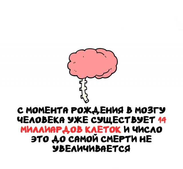 Интересные факты на все случаи жизни