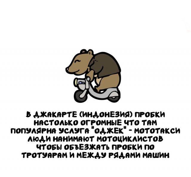 Интересные факты на все случаи жизни