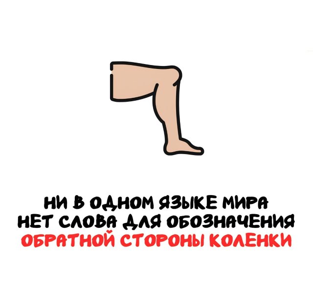 Интересные факты на все случаи жизни