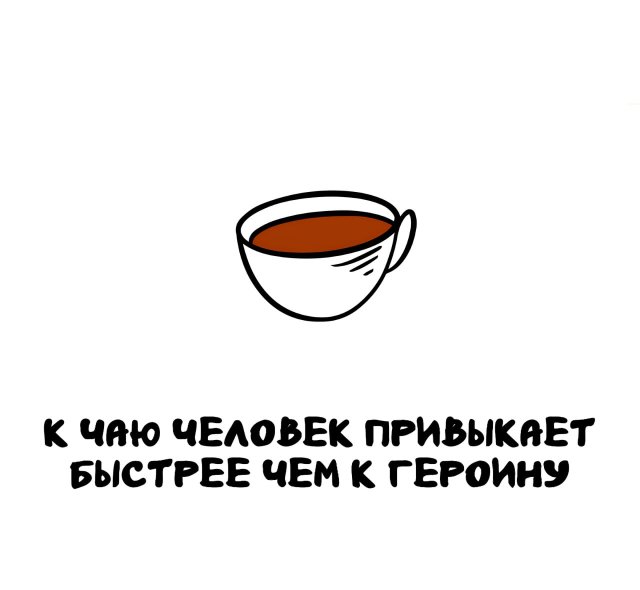 Интересные факты на все случаи жизни