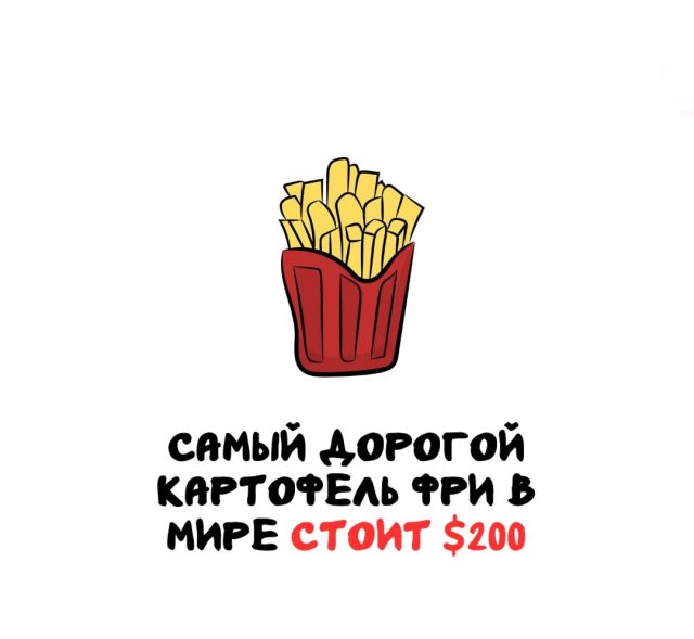 Интересные факты на все случаи жизни