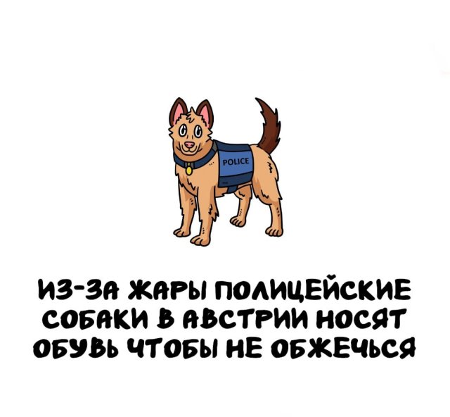 Интересные факты на все случаи жизни