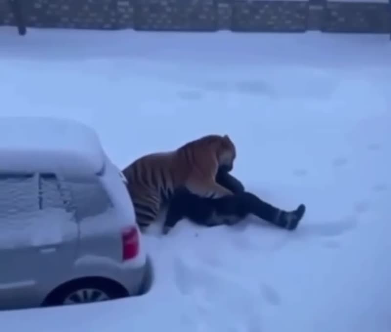 В какую передрягу можно попасть из-за шуточного видео с ИИ?