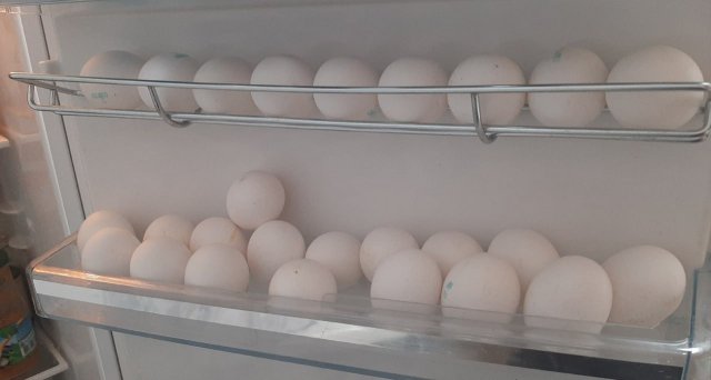 Роспотребнадзор предупреждает: не храните яйца в в дверце холодильника