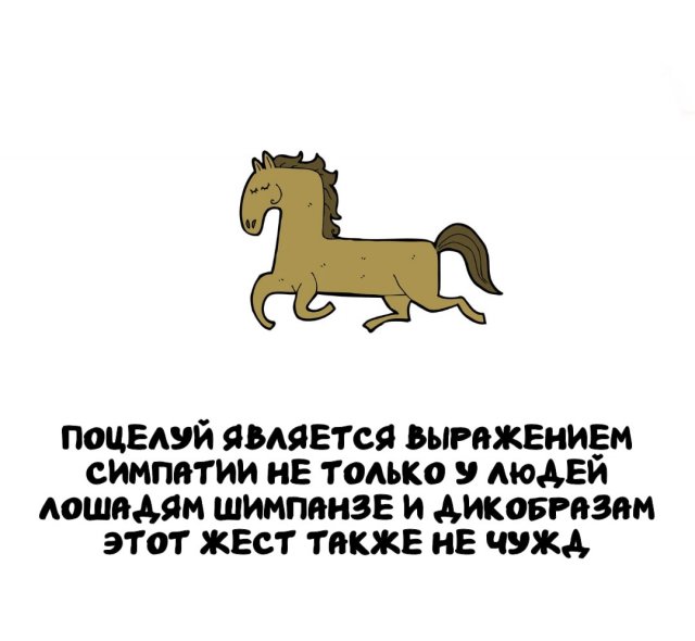 Интересные факты на все случаи жизни