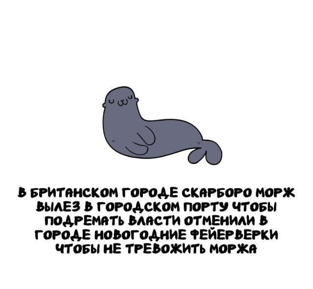 Интересные факты на все случаи жизни