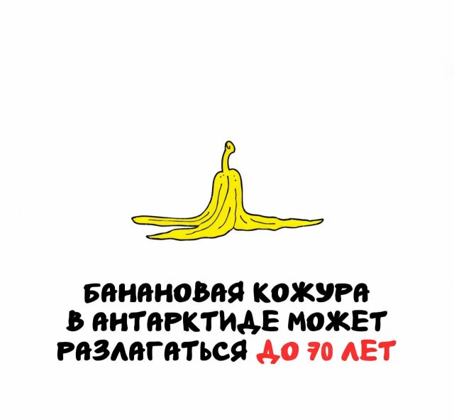 Интересные факты на все случаи жизни