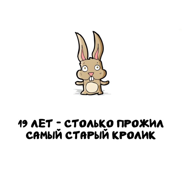 Интересные факты на все случаи жизни