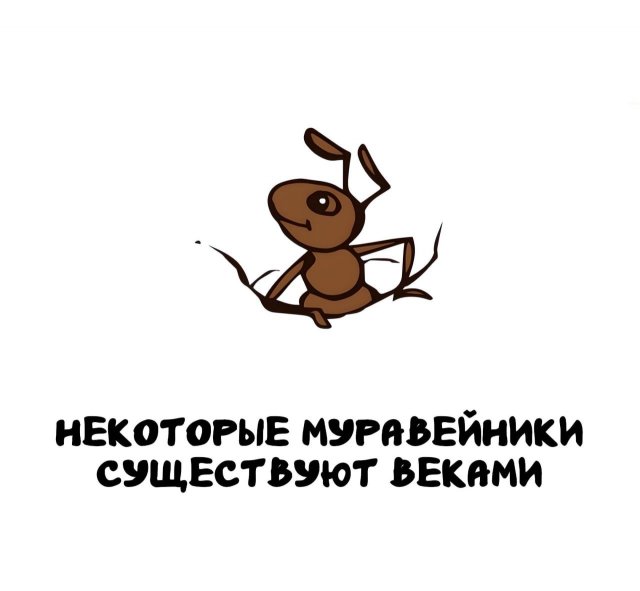 Интересные факты на все случаи жизни