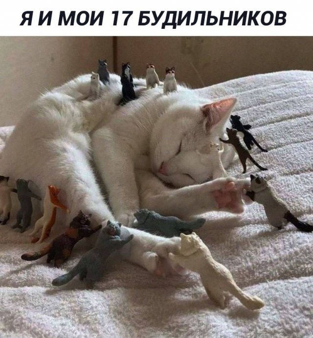 Лучшие шутки и мемы из Сети - 09.01.2026