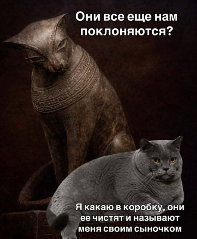 Лучшие шутки и мемы из Сети - 09.01.2026