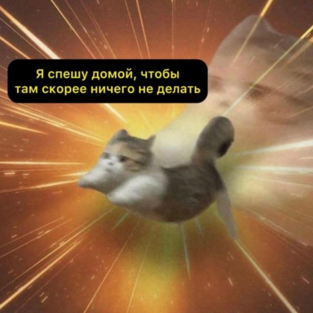 Лучшие шутки и мемы из Сети - 09.01.2026