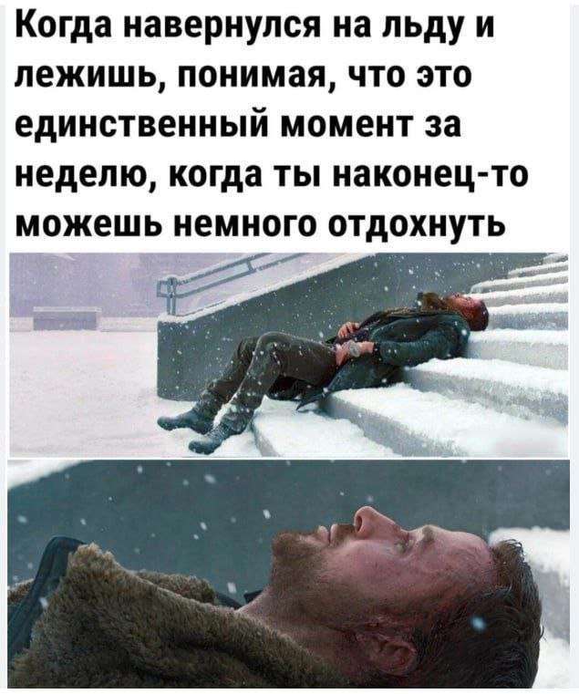 Лучшие шутки и мемы из Сети - 09.01.2026