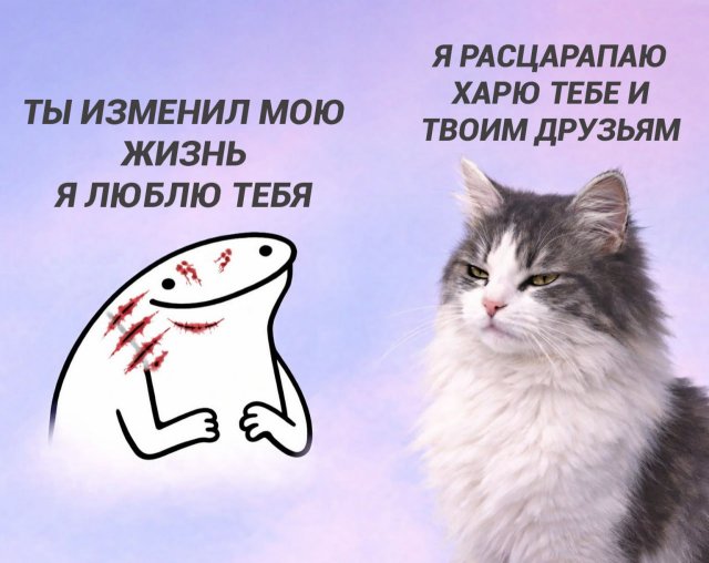 Лучшие шутки и мемы из Сети - 09.01.2026