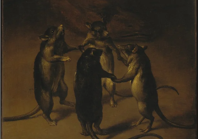 Зачем дрессировать собаку, если можно крыс?