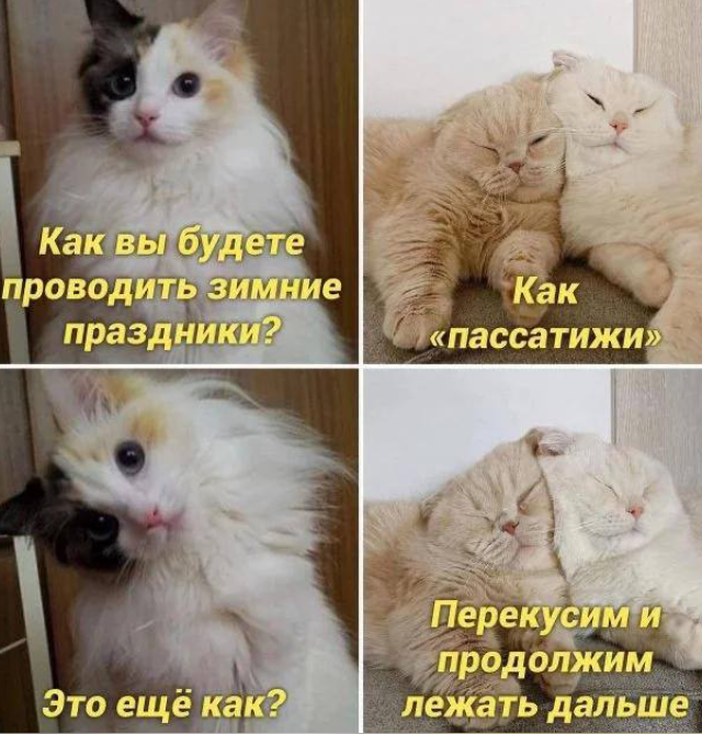 Подборка новогодних мемов