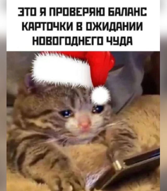 Подборка новогодних мемов